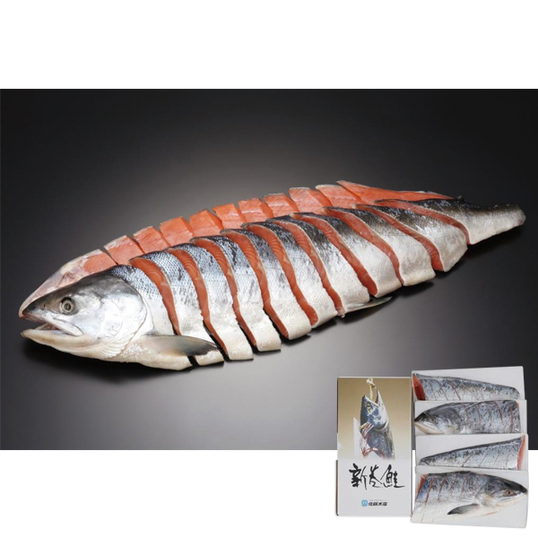 Y V(pؐgl^) (MS-1CE)